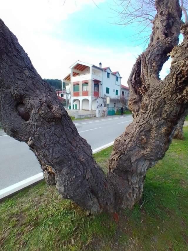 Apartments Pulic Skradin Eksteriør billede